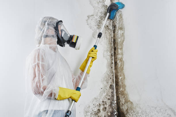 Best Water Damage Restoration  in Covelo, CA