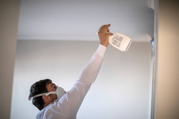 Best Mold Remediation  in Covelo, CA