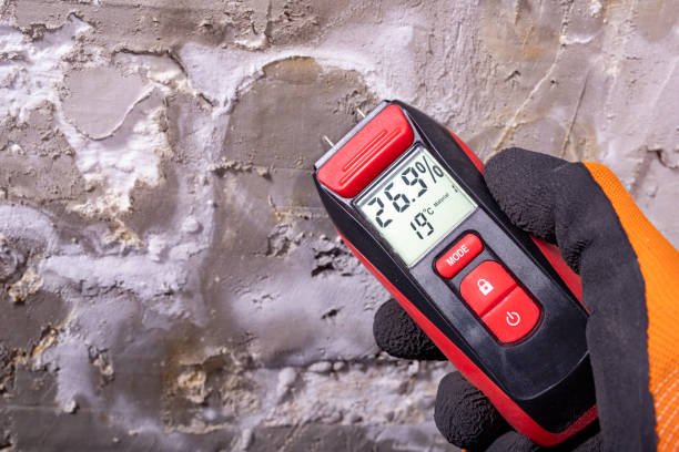 Best Affordable Mold Removal  in Covelo, CA