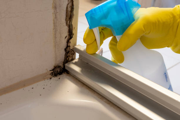 Best Mold Testing  in Covelo, CA