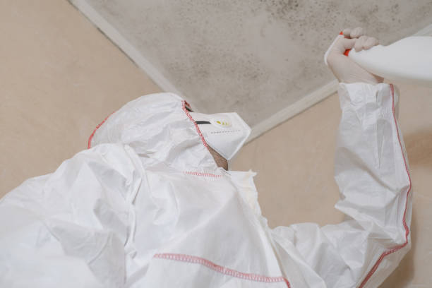 Best Mold Cleaning Services  in Covelo, CA
