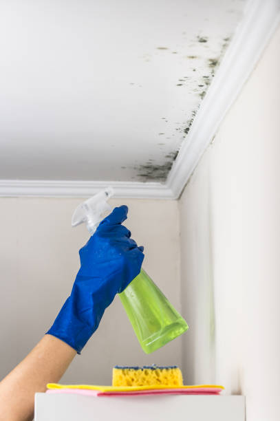 Best Mold Testing  in Covelo, CA