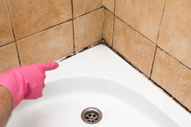 Best Office Mold Removal Services  in Covelo, CA